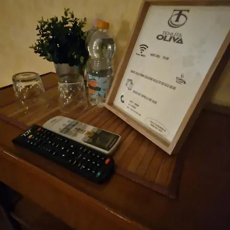 Tenuta Oliva