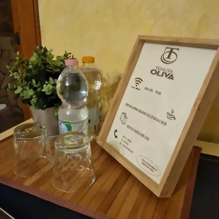 Tenuta Oliva *