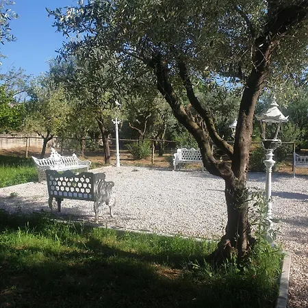 Tenuta Oliva Landsted *