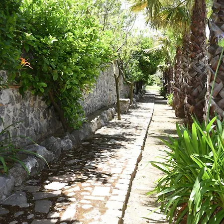 Tenuta Oliva *