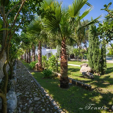 Tenuta Oliva Country house Fisciano