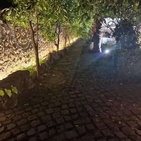 Tenuta Oliva *