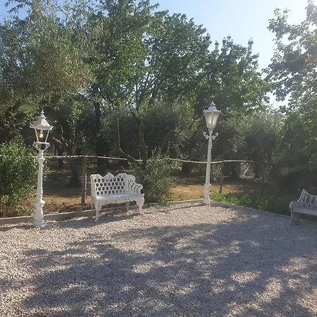 Tenuta Oliva Country house *