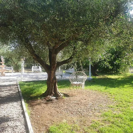 Tenuta Oliva