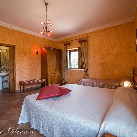 Tenuta Oliva Landsted