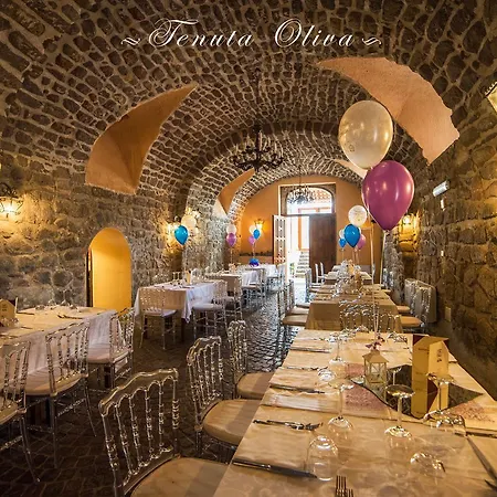 Tenuta Oliva